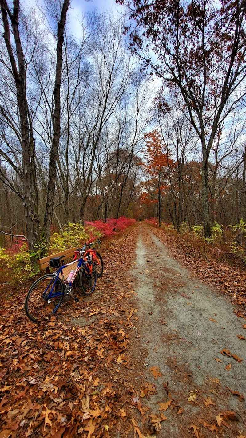 Great For Bikes And Walks