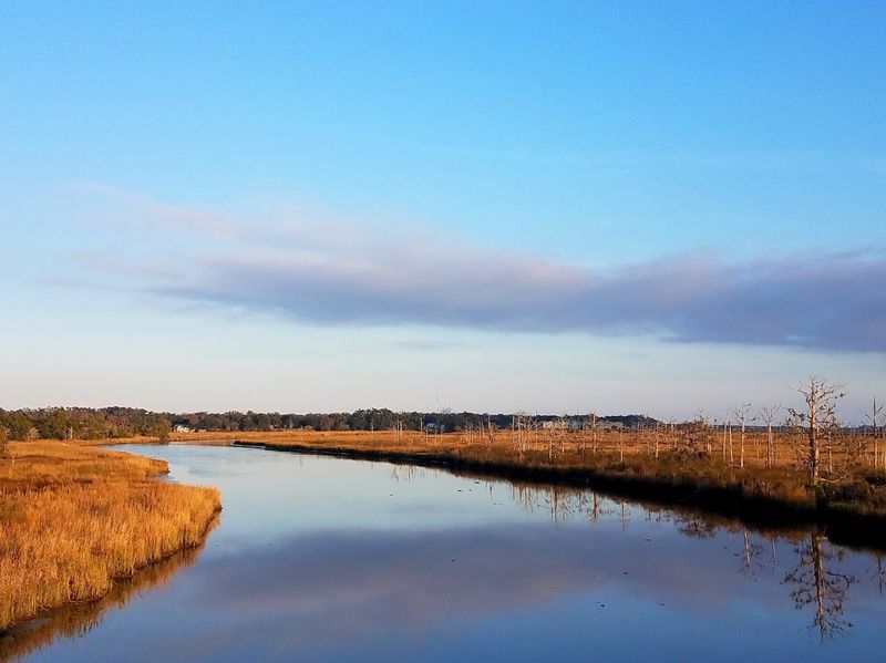 The Coastal Marshlands That Frame Everything Beautifully