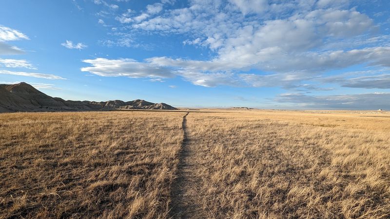 Follow The Bison Trail Toward Hudson-Meng