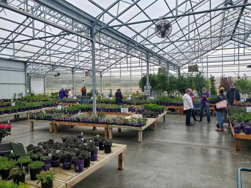 Staff Advice Saves Shoppers From Plant Regret