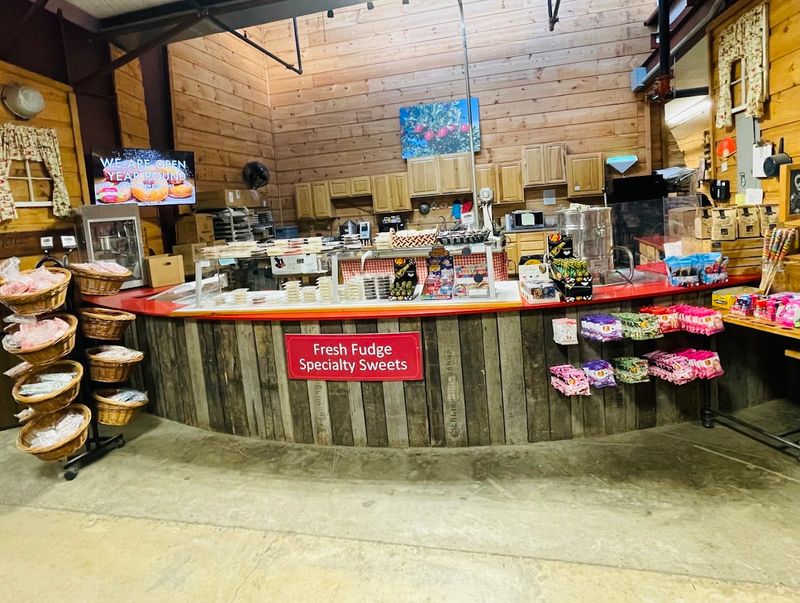 Apple Cider Donuts Worth Every Sugary Crumb