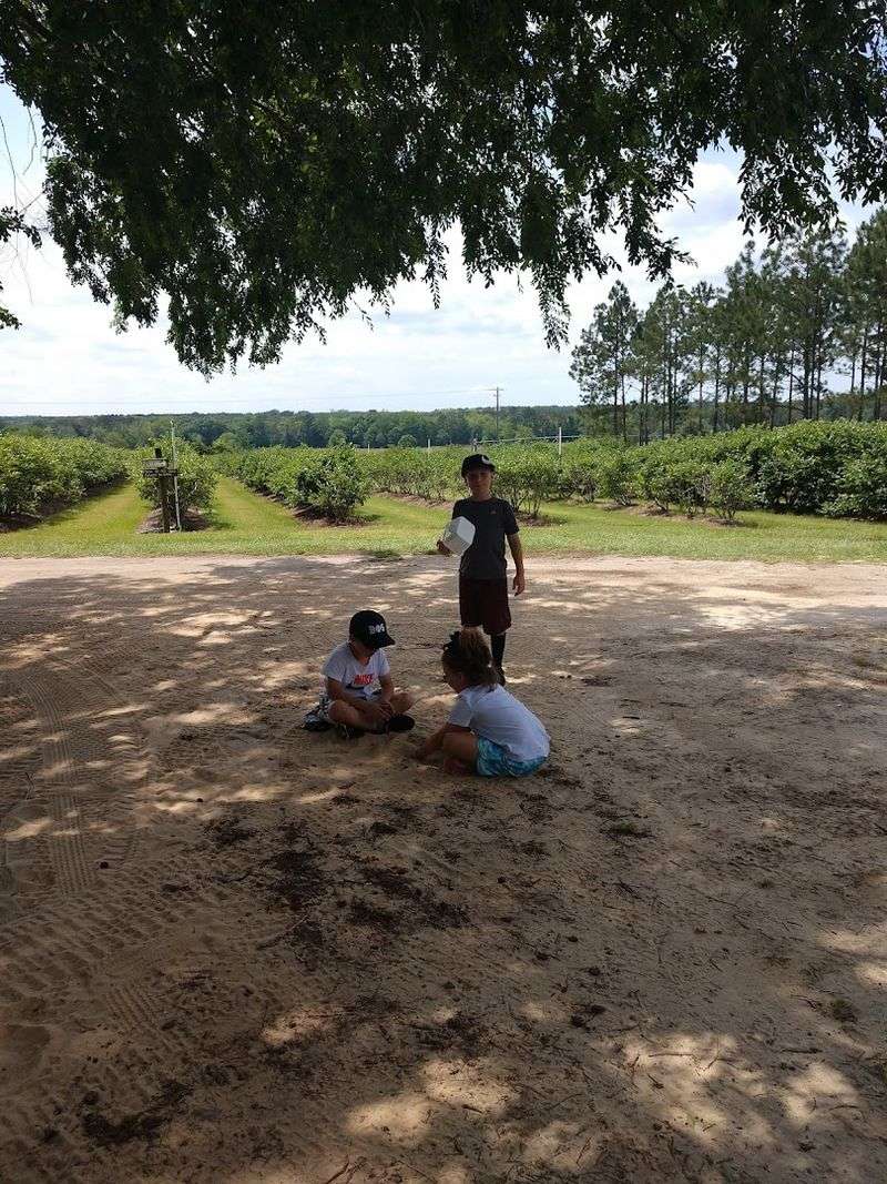 An Ideal Outing For Kids Of All Ages