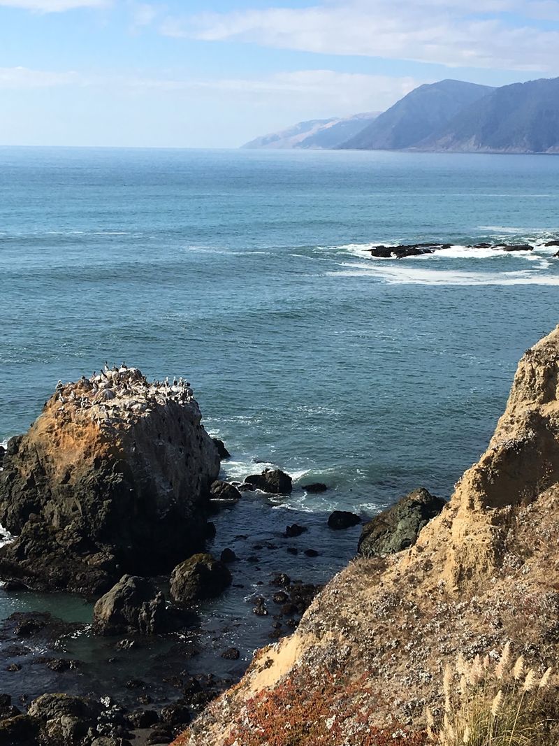 Explore The Tide Pools At Low Tide