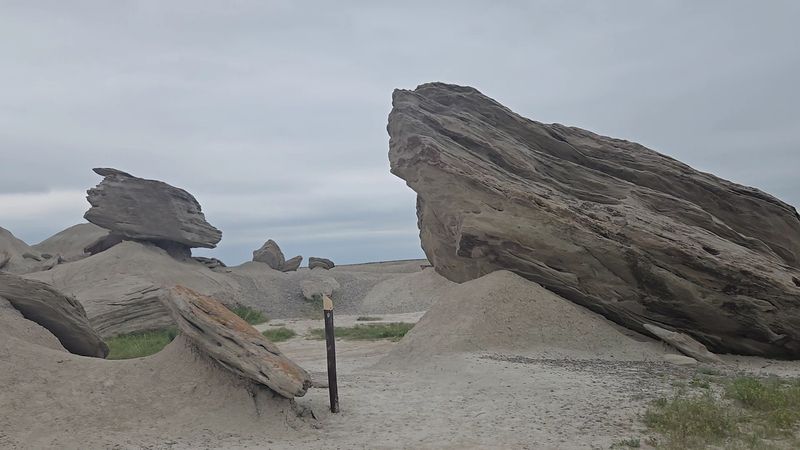Search For Fossil Tracks Without Removing Them