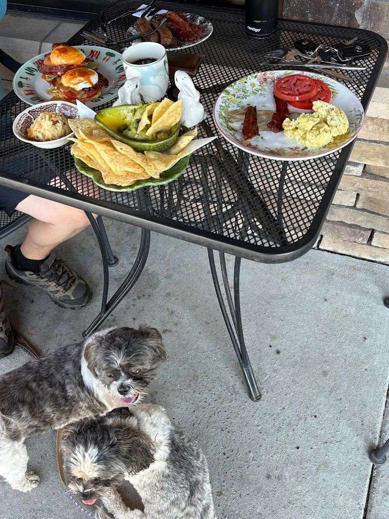 This Charming Rabbit-Themed Cafe Is Unlike Anywhere Else In South Carolina - Decor Hint Outdoor Seating Adds Extra Charm