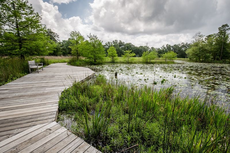 Houston Arboretum & Nature Center, Houston