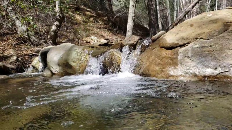 Reyes Creek Dipping Holes, Los Padres National Forest, near Maricopa