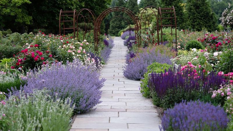 Ten Acres Bloom Beyond The Market