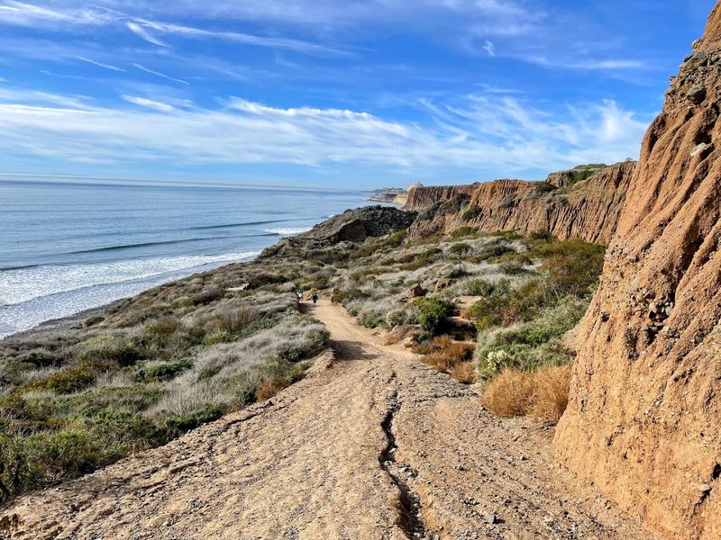 Trails 1, 4, And 6 Reach The Beach