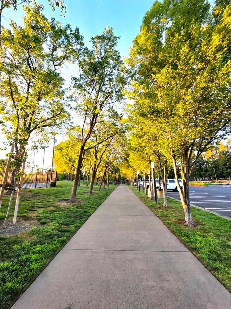 This 32-Mile Northern California Bike Trail Follows An Old Railroad Through Six Parks And Five Downtowns - Decor Hint Parks And Greenbelts Soften The Urban Scenery
