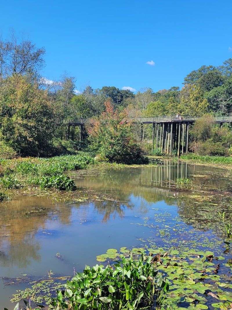 Six Short Trail Loops Keep The Walk Fresh And Flexible