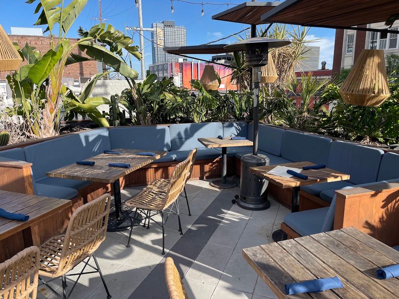 This New California Rooftop Restaurant Pairs Italian-Latin Food With Movies On A 170-Inch Screen - Decor Hint Relax Among Garden Planters, Loungers, And Deep-Blue Banquettes