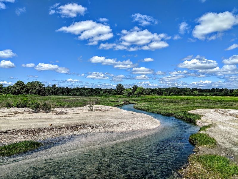 Silver Sands State Park, Milford
