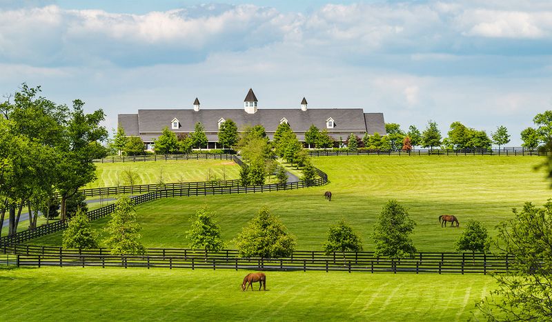 Horse Country Right Outside The Door