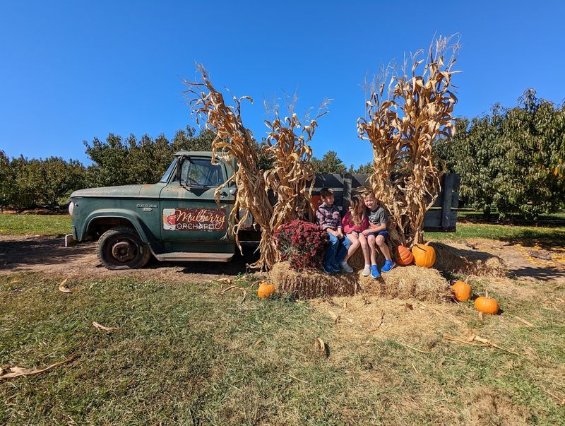 A Less Crowded Alternative To Bigger Kentucky Farm Attractions
