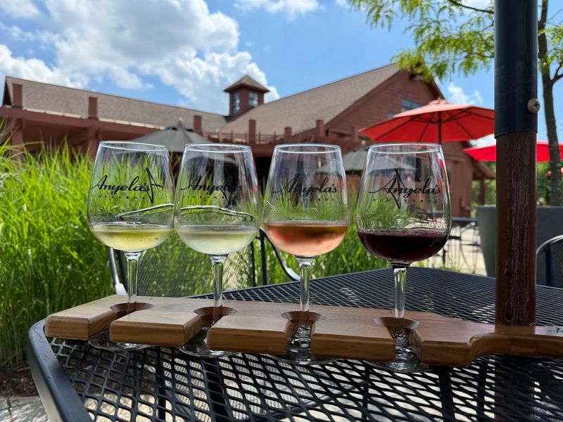 Anyela's Vineyards