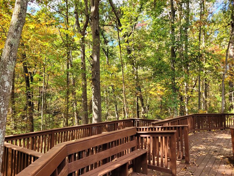 10 Peaceful Places In Georgia That Beat Meditation - Decor Hint Reynolds Nature Preserve, Morrow