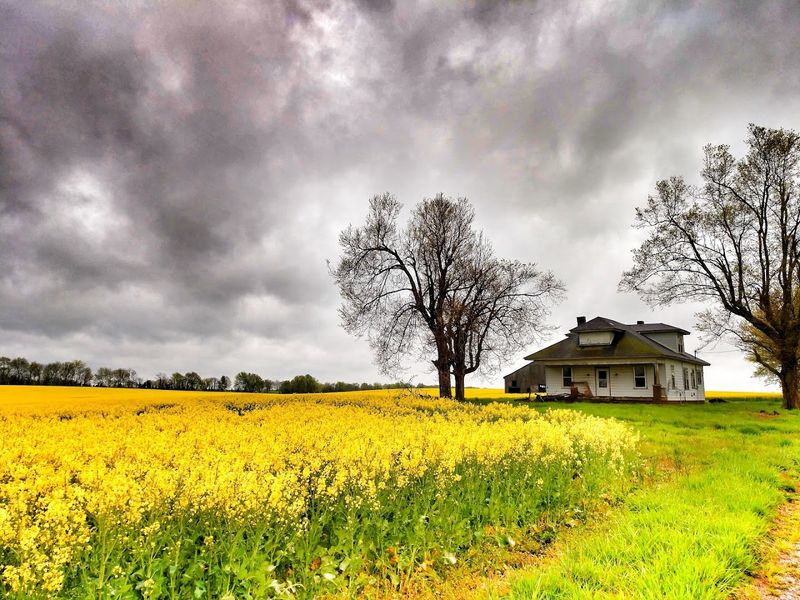 The Most Picturesque Must-Visit Tiny Towns In Kentucky - Decor Hint Cadiz