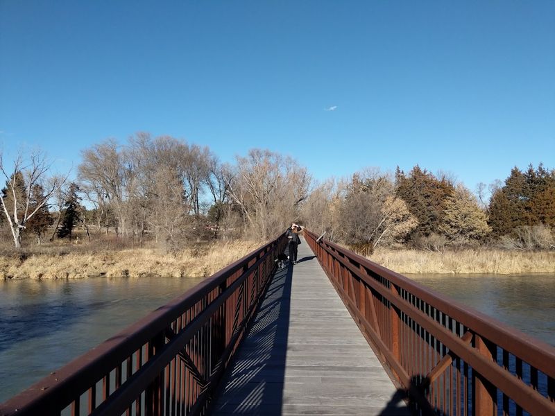 Nebraska National Forest, Near Halsey