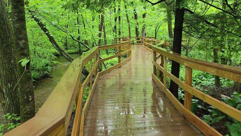 This Senior-Friendly Connecticut Nature Trail Offers Benches, Shade, And A Peaceful Woodland Walk - Decor Hint Boardwalks Pass Quiet Wetland Areas