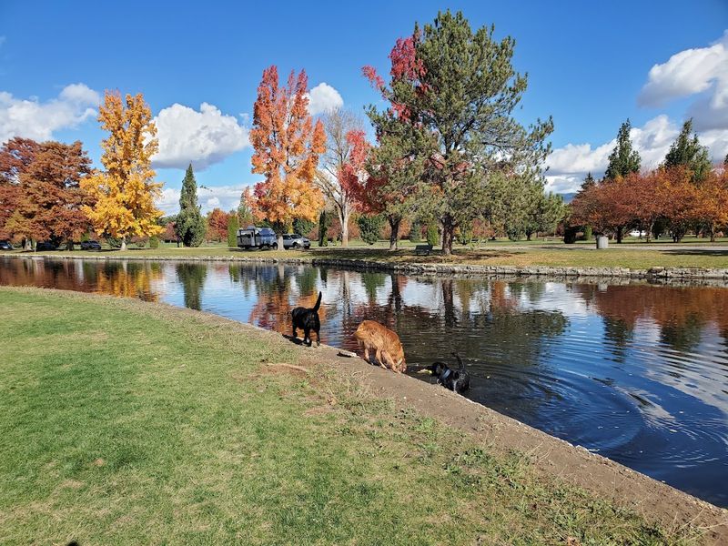 Together Treasure Valley Dog Island