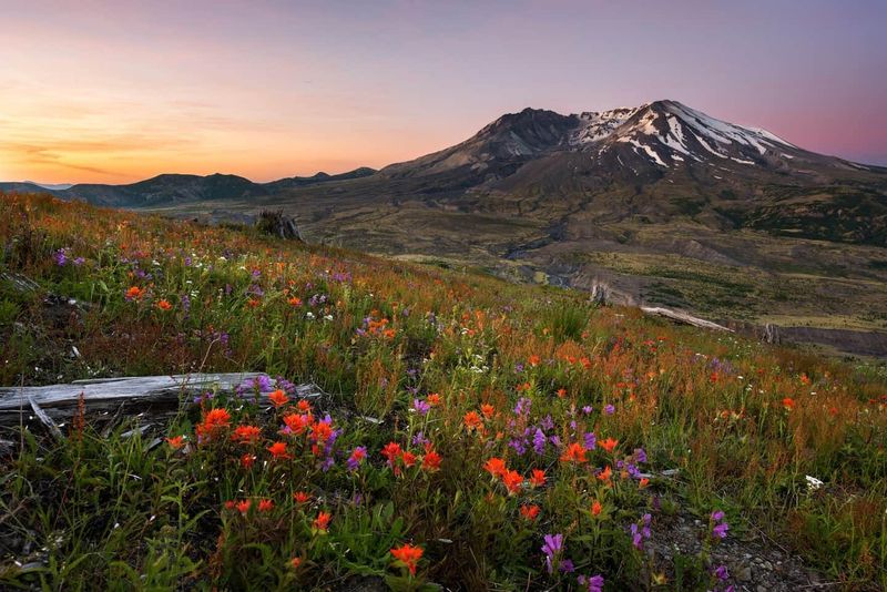 10 Breathtaking Day Trips In Washington You'll Be Talking About Long After - Decor Hint Mount St. Helens
