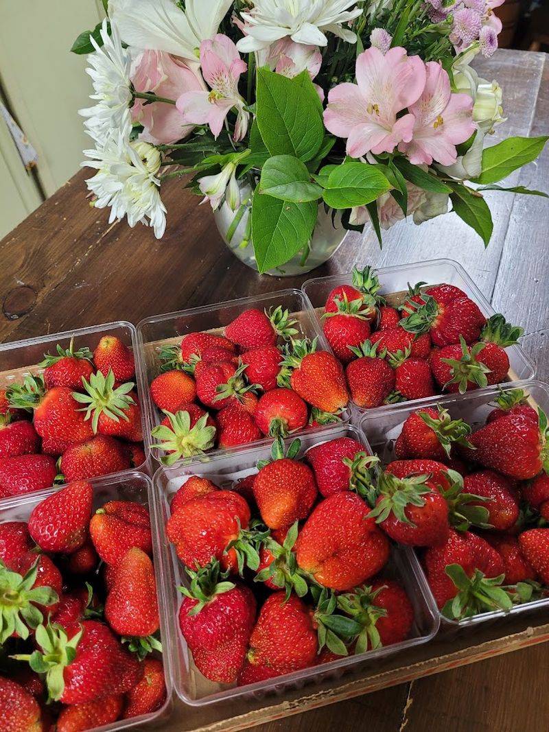 Strawberries Worth The Drive