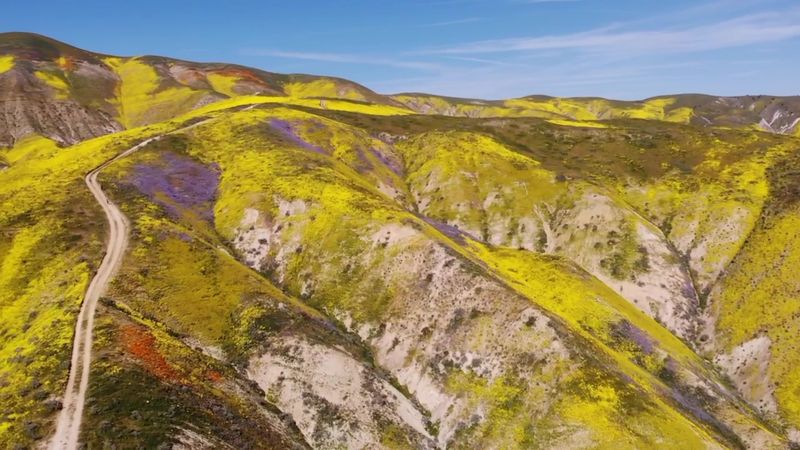 Carrizo Plain National Monument, San Luis Obispo County