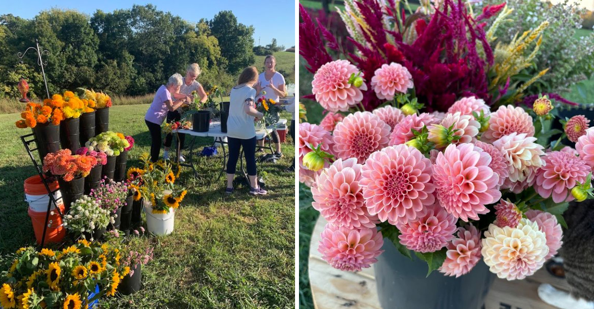 Some Say Kentuckys Prettiest Hour Happens At This U Pick Flower Farm - Decor Hint