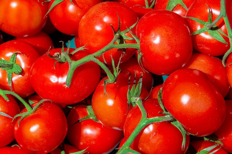 These Idaho Farms Grow The Kind Of Tomatoes Grocery Stores Cannot Compete With - Decor Hint Cherry Hill Farms