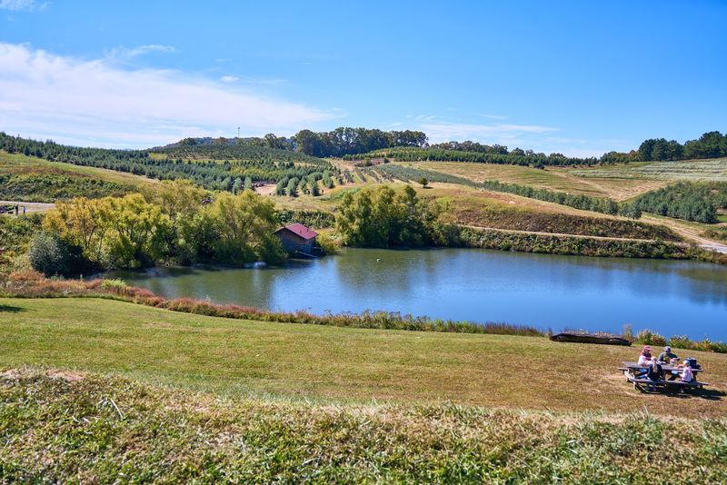 These 11 Georgia Peach Stops Are The Sweetest Reason To Hit The Road - Decor Hint Mercier Orchards, Blue Ridge