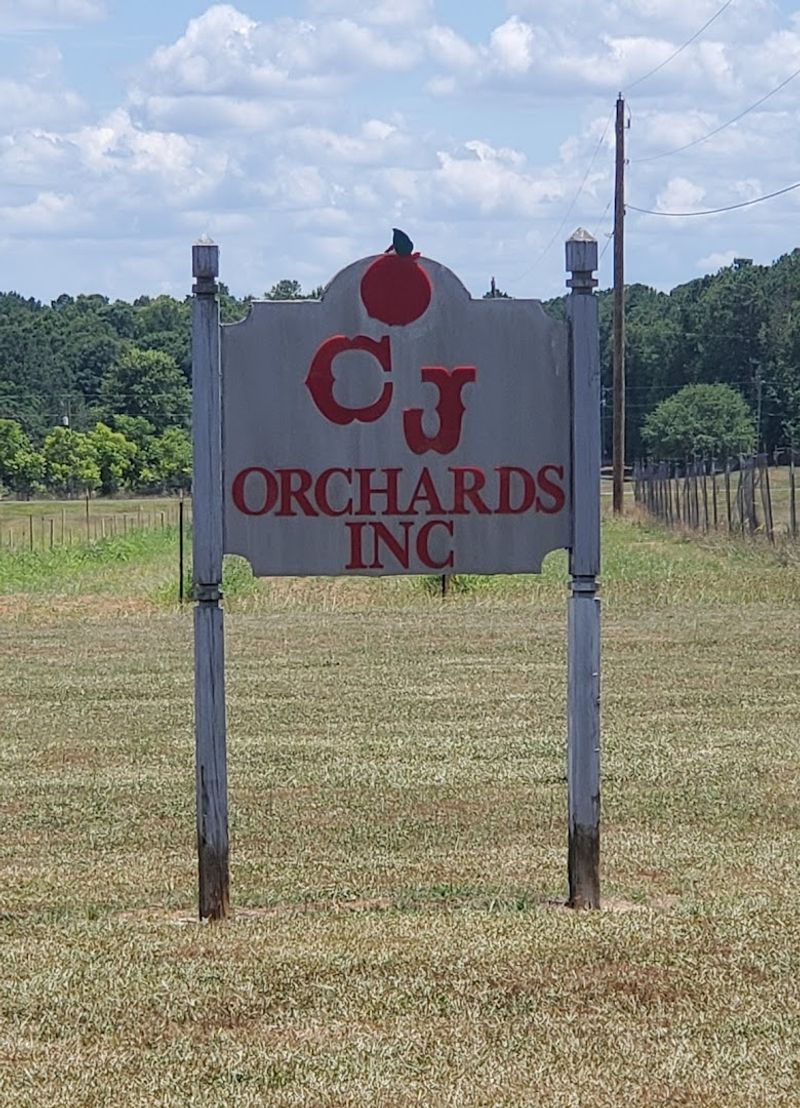 CJ Orchards, Rutledge