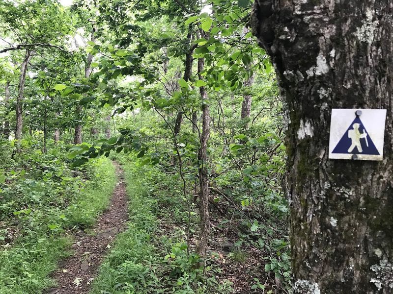 10 North Carolina Outdoor Spots Where Summer Hikers Should Stay Tick-Aware - Decor Hint West Jefferson / Mount Jefferson Area