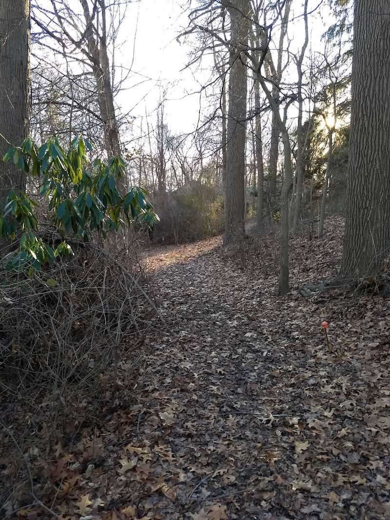 The Nation's Oldest Songbird Sanctuary Is Hidden Right Here In Connecticut - Decor Hint A Quiet Trail Locals Keep Coming Back To