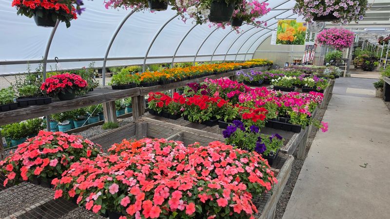 This Connecticut Herb Farm Is Filled With Fragrant Gardens Most People Never Knew Existed - Decor Hint Annuals Perennials And Vegetables Share The Displays