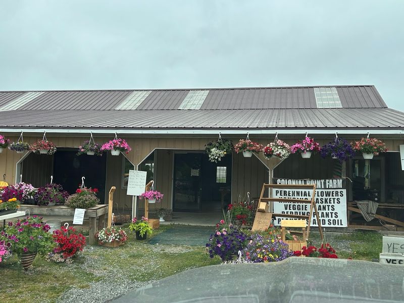 Colonial Point Farm Mennonite Farm Stand
