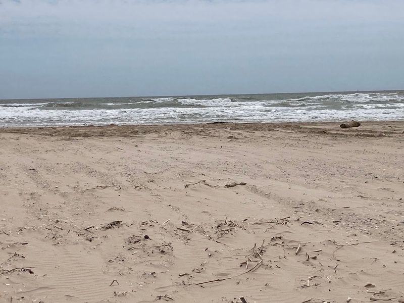 The Quiet Coastal Atmosphere That Actually Delivers