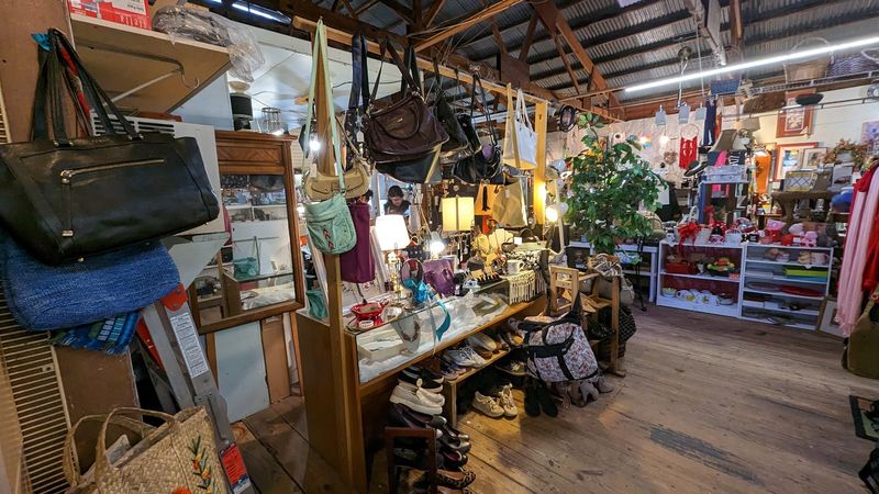 Let The Vendor Rows Turn A Quick Stop Into A Treasure Hunt