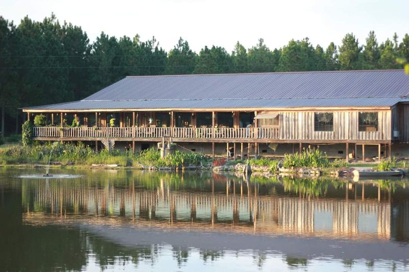 A Pond View That Sets The Mood