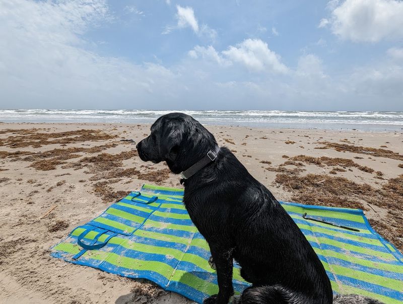 Mustang Island State Park, Port Aransas