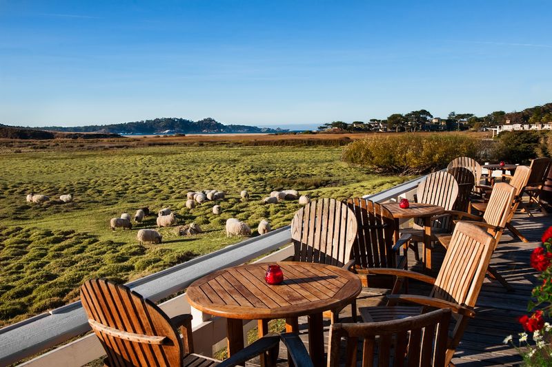 These 14 Central California Patio Restaurants Make Summer Dining Feel Like A Mini Vacation - Decor Hint The Restaurant at Mission Ranch, Carmel-by-the-Sea