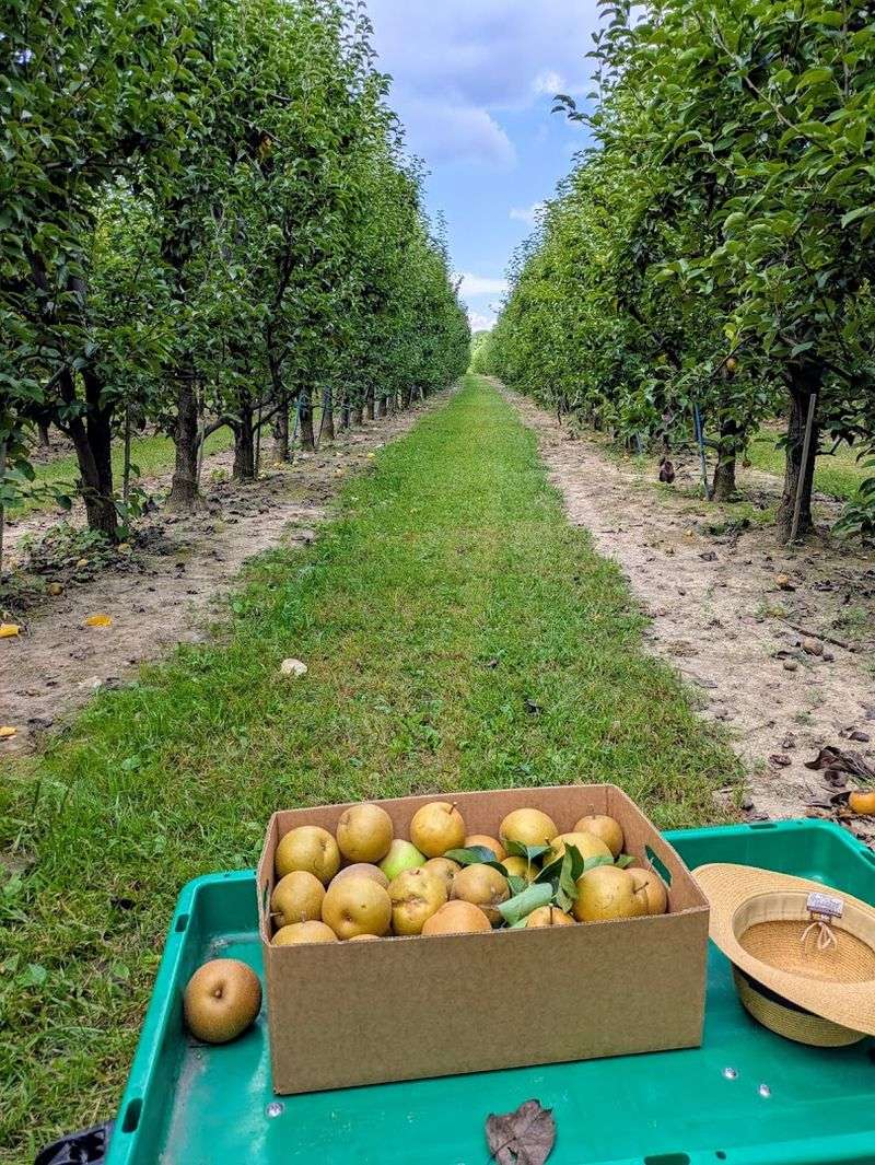 Time The Visit For Early Fall Instead Of Summer Guesswork