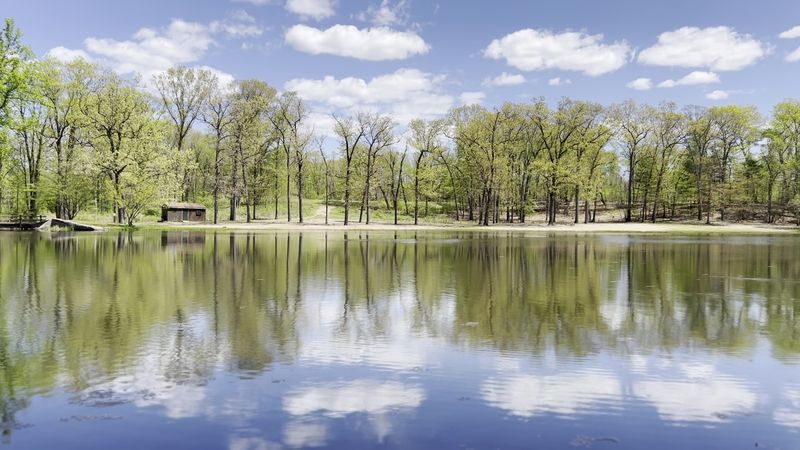 11 Connecticut Swimming Spots Perfect For Cooling Off This Summer - Decor Hint Wharton Brook State Park, North Haven