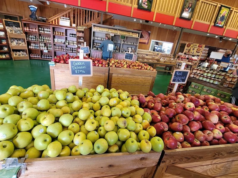 Pick Your Fresh Kentucky Blackberries & Experience Farm Fun All Season Long - Decor Hint Apple Picking And The Full Fall Experience