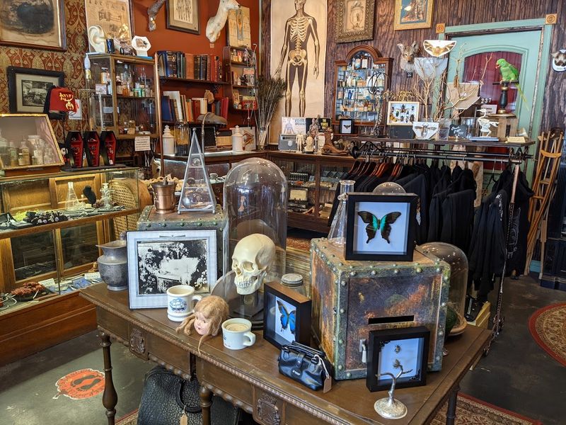 Hunt For Occult Curiosities Around The Shop
