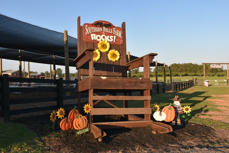 9 Sunflower Fields Throughout Georgia That Make Summer Road Trips Even Brighter - Decor Hint Southern Belle Farm, McDonough