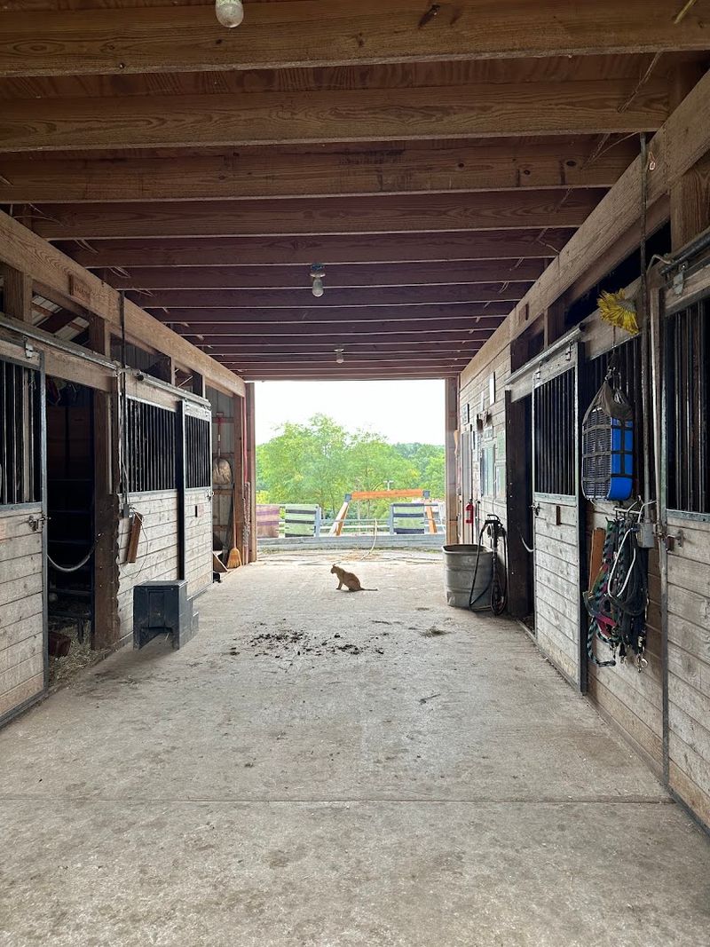 Why This Farm Stays With You