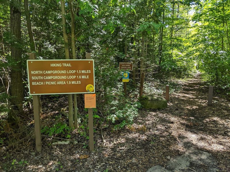 Hiking Trails Through Wild Terrain