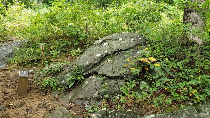 Track Rock Gap Petroglyphs, Blairsville