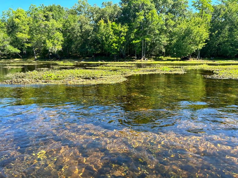 Santa Fe River, Alachua